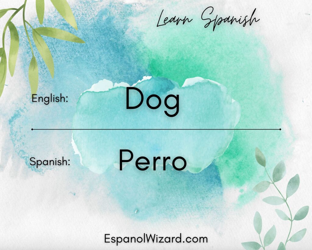 THE WORD “DOG” IN SPANISH