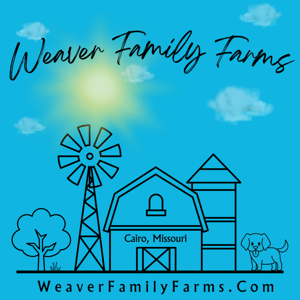Weaver Family Farms: A Small Business Making a Big Impact Since 2014