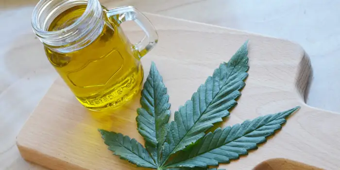 The Miraculous Potential of Cannabis Oil in Fighting Cancer 🌿🦠